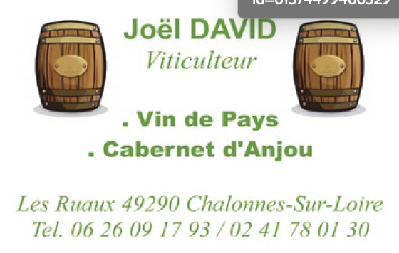 Cave David